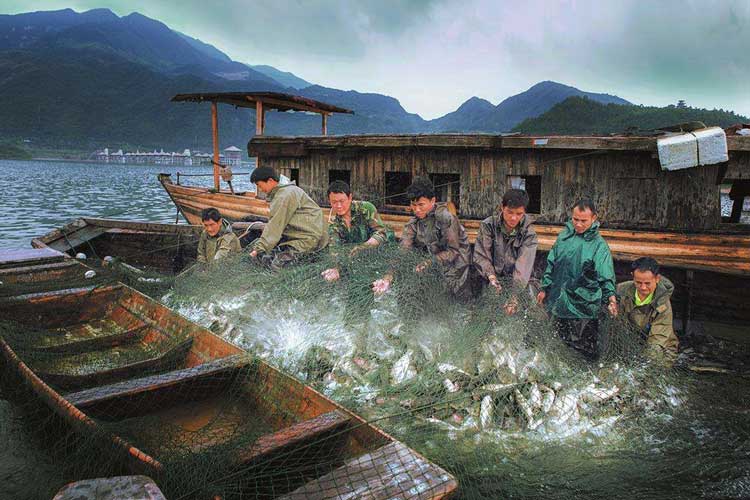 1530752561769975.jpg 海魚捕撈.jpg