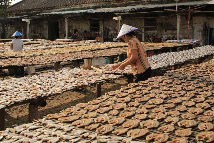 1530752610698142.jpg 曬魚干.jpg